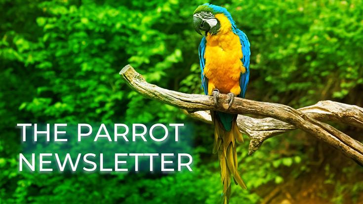 The Parrot Newsletter
